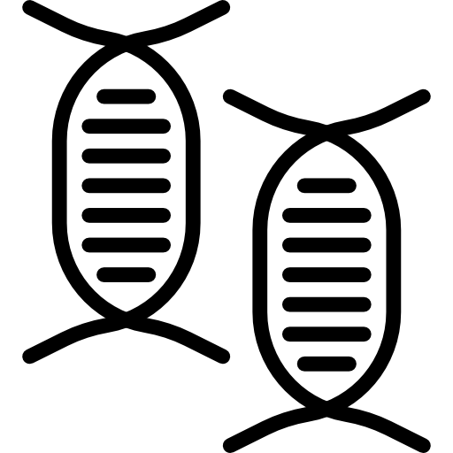 Somon DNA